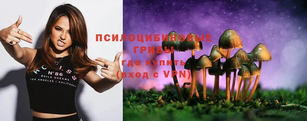 спиды Белоозёрский