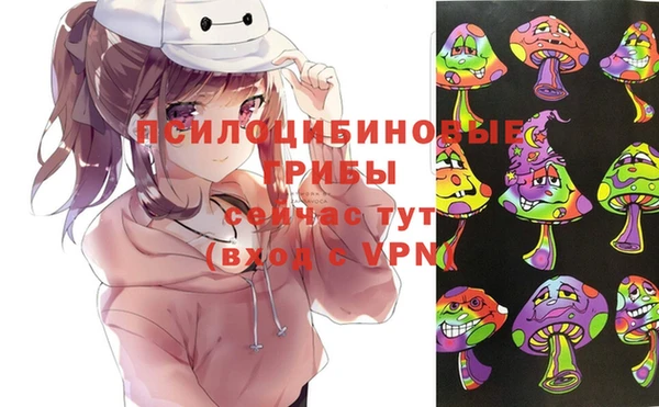 эйфоретик Протвино