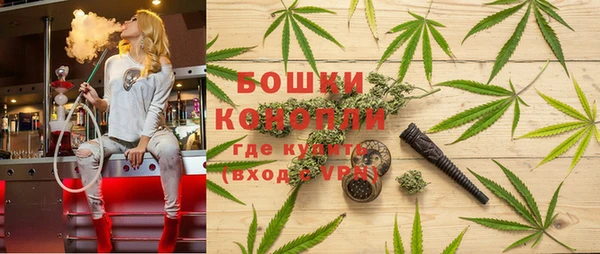 прущие крисы Беломорск